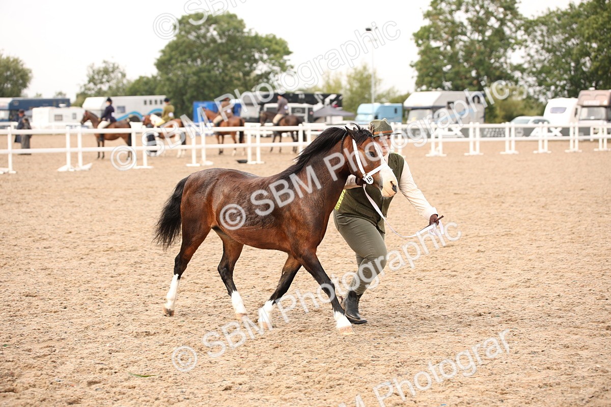 SBM_21477 - Class 706 - IH  Veteran