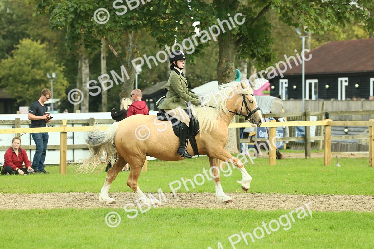 SBM_62668 - S63 - Other Coloured Horse Ridden