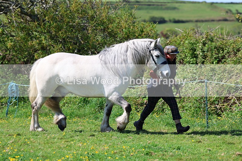 3E7A9334 - Class 16: Best Grass Kept