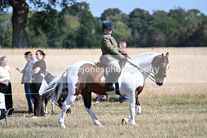 WJ7_3045 - Class 8 Ridden Tack & Turnout