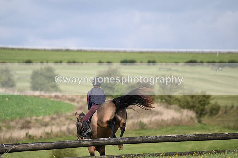 WJ6_7558 - Time 11:29 to 11:45