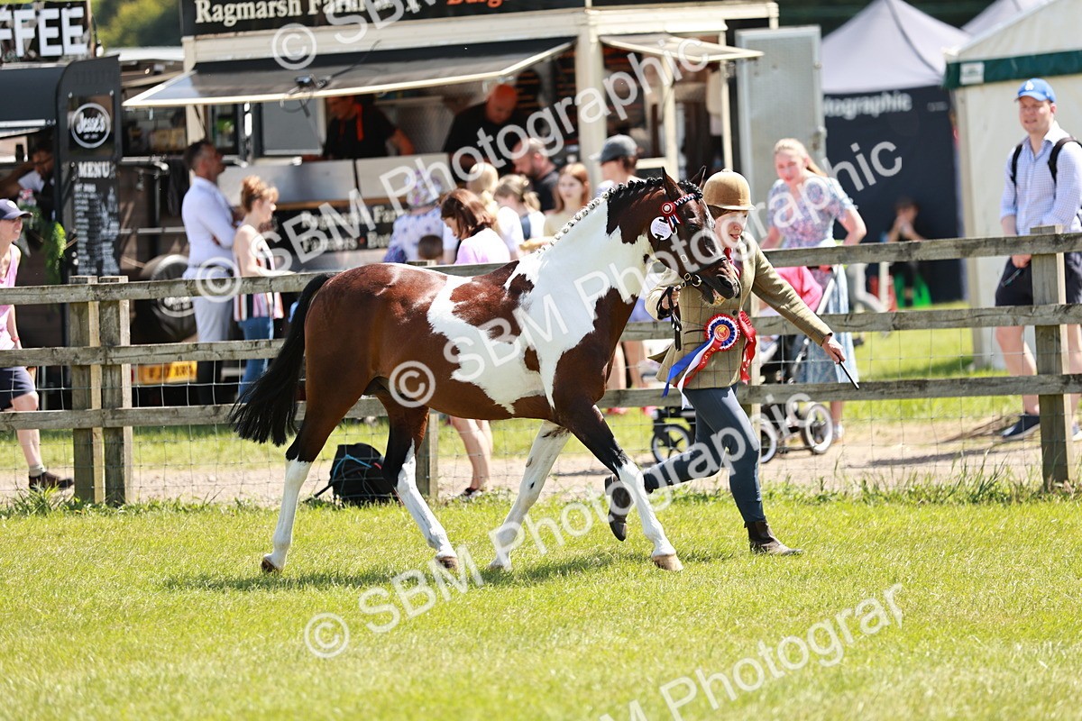 SBM_05489 - Class 41-45 - Riding Pony-Hunter Pony Breeding