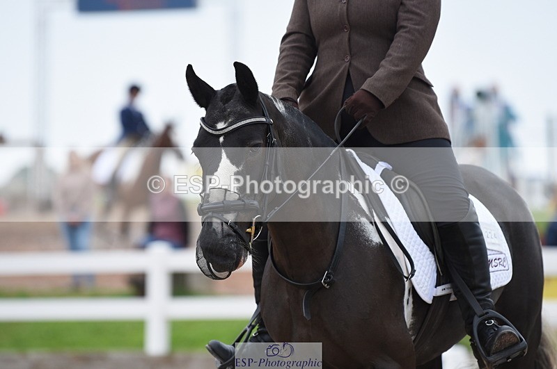 230708A-120928-01669 - Prelim 7