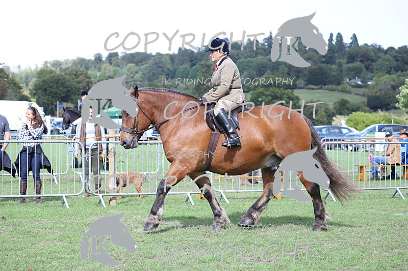 APP_3669 - Class 8 Ridden Class