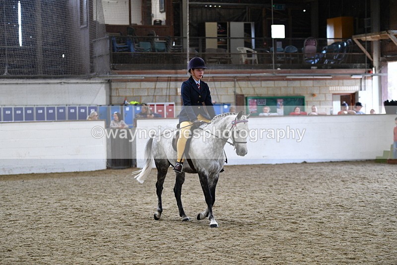 WJ5_7740 - Class 13 Ridden Part Breed