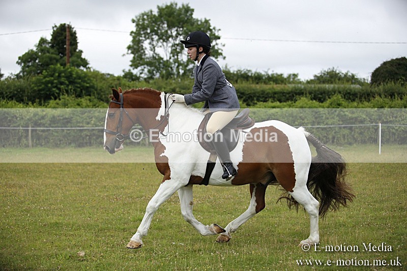 BVR160717-65 - Ring 1 BVRC Show 16/07/17