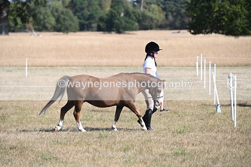 WJ6_7407 - Class 34 Judges Choice