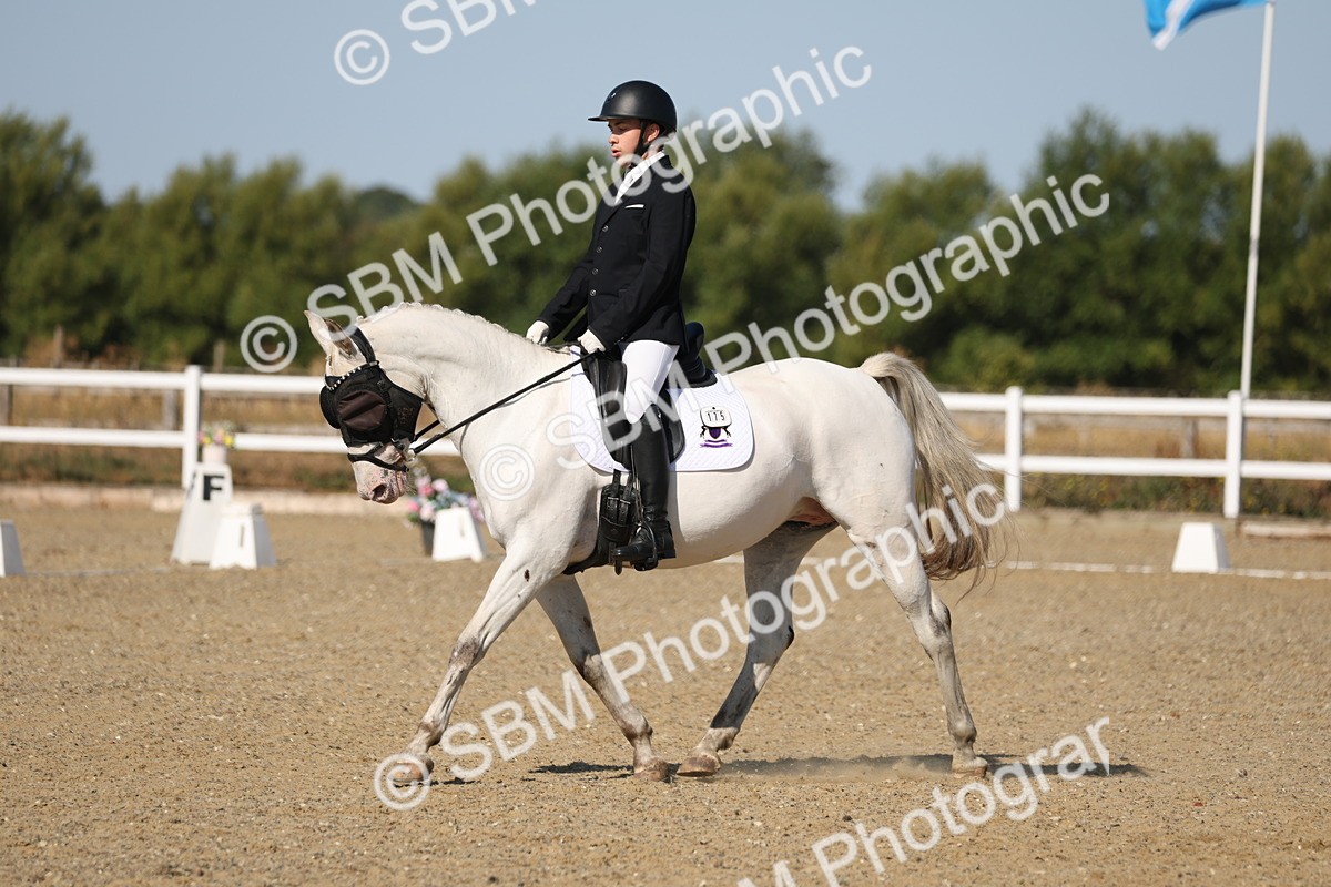 SBM_012817 - Class 1 - P5 Bronze 9.00.10.12