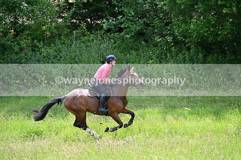 WJ7_8806 - Group 4 11am