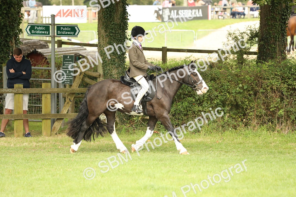 SBM_71582 - S41 - Ridden Equitation (Best Rider)