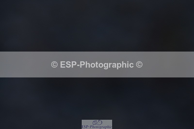 231105A-102040-00083 - UnAf Prelim 12