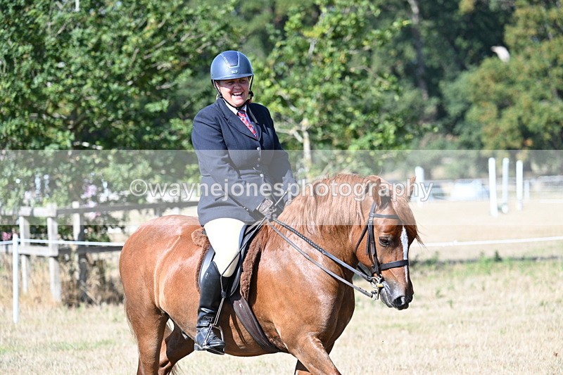 WJ7_3494 - Class 9 Mountain & Moorland Ridden
