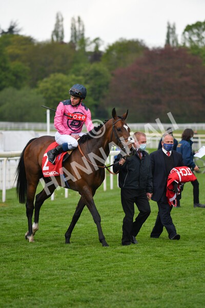 yr14052021r4-32 - Race 4 3.10pm The Matchbook Yorkshire Cup