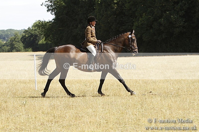 _BS_0744 - BVRC Show 2018 Ring 1