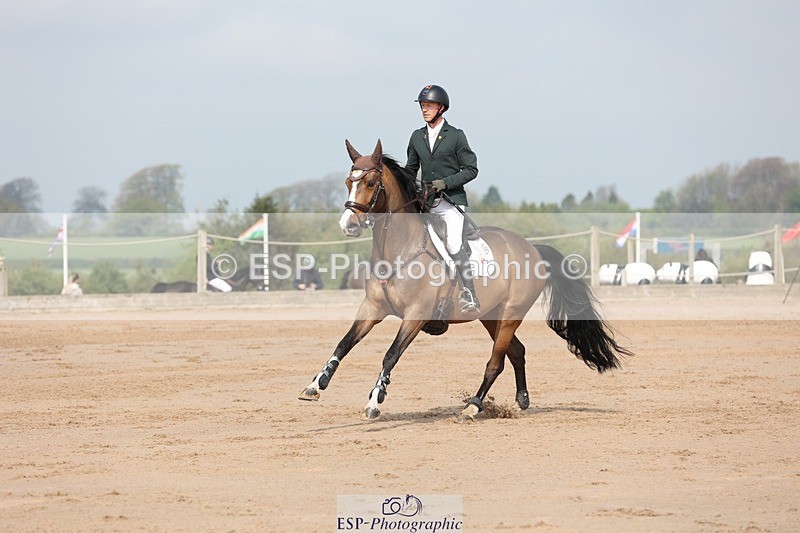 250424-103406-03096 - Cls 33 Young Horse 7yr old