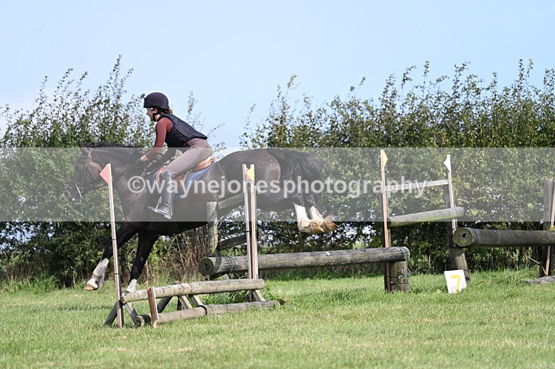 WJ7_6203 - Time 11:29 to 11:45