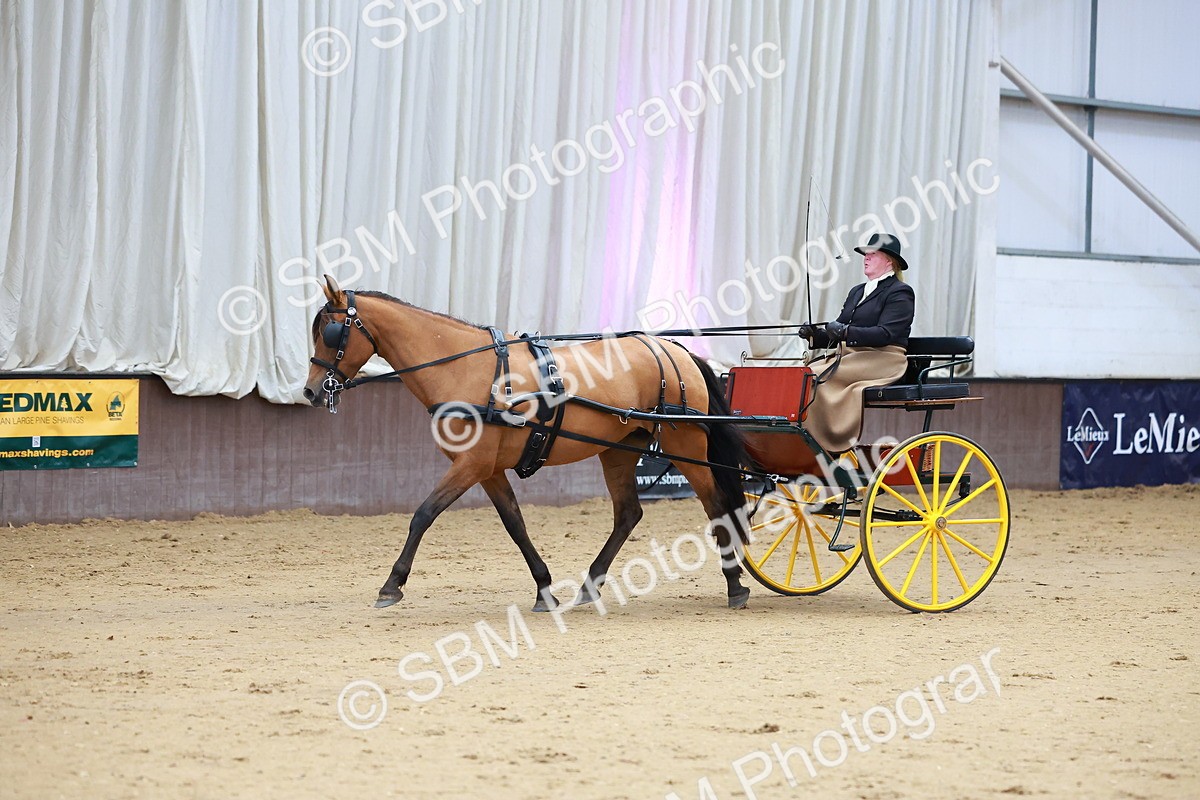 SBM_001059 - Class 15 - Open Showmans Class