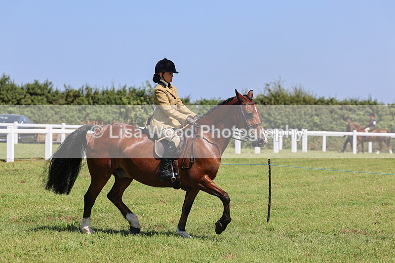 IMG_2311 - Class 38: Veteran Ridden