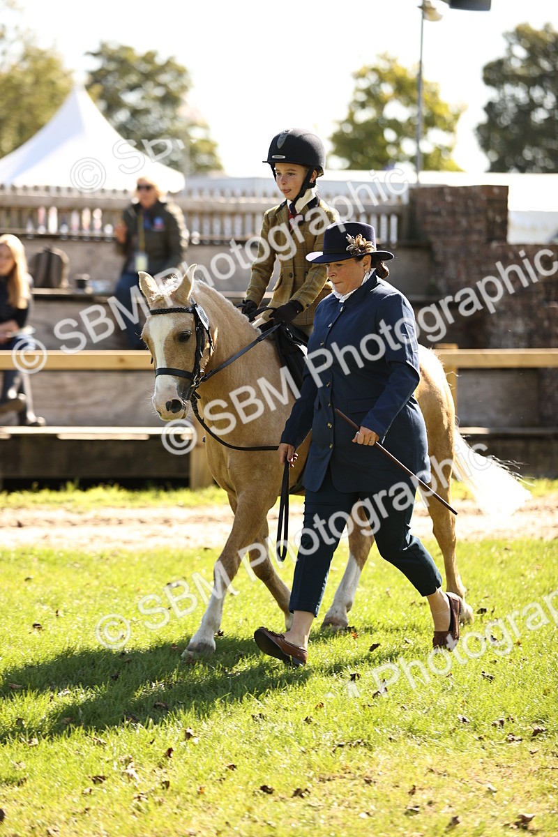 SBM_19300 - S3 - TSR Ridden Pony Showing