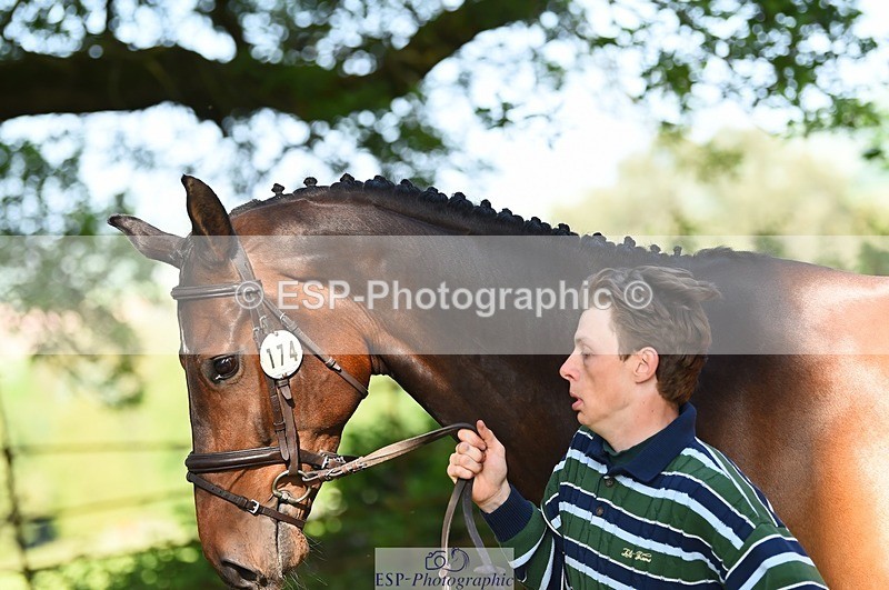 230524-172456-01493 - 174-LANCELOT_BMG-Alfie_Marshall-WEDTrotUp+DR