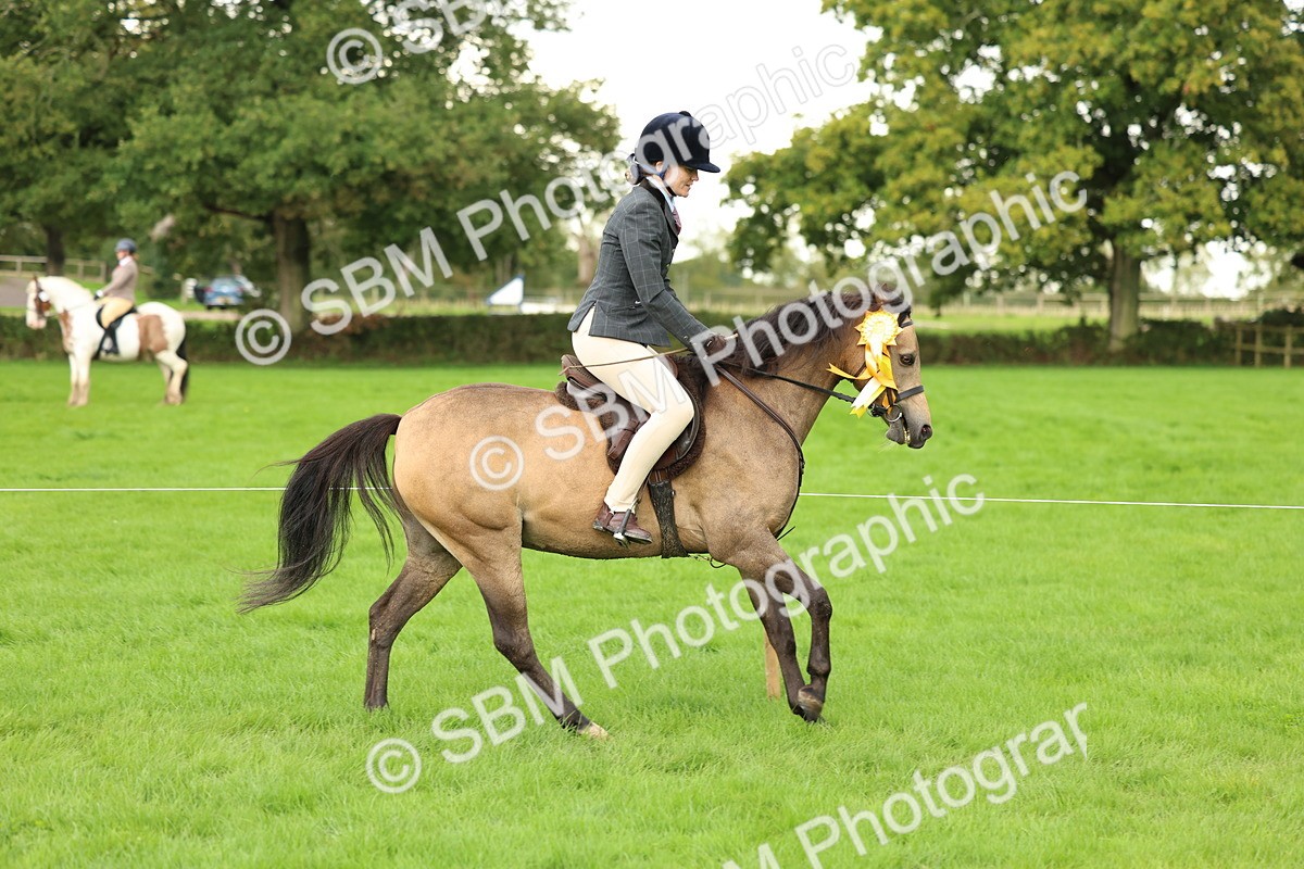 SBM_41918 - S32 - Mountain & Moorland Working Hunter Pony