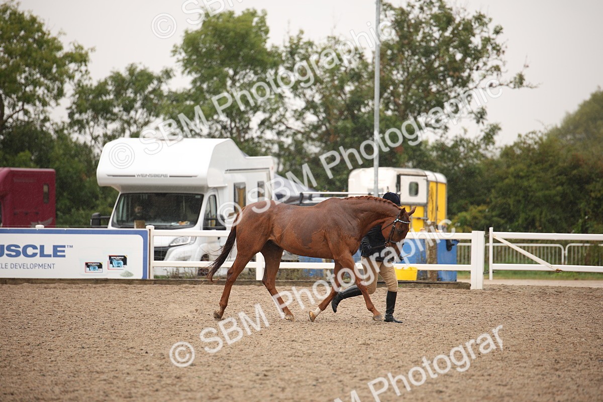 SBM_20668 - Class 705 - IH  Combination 65+
