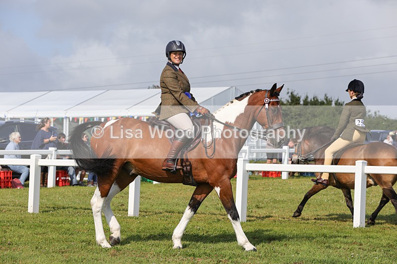 1X9A3447 - Skewbald and Piebald Ridden Championship