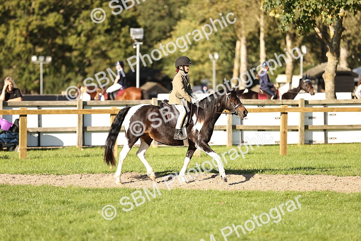 SBM_29413 - S7 - Novice & Newcomers Ridden Pony