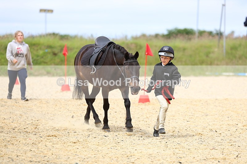 3E7A9380 - Walk trot run