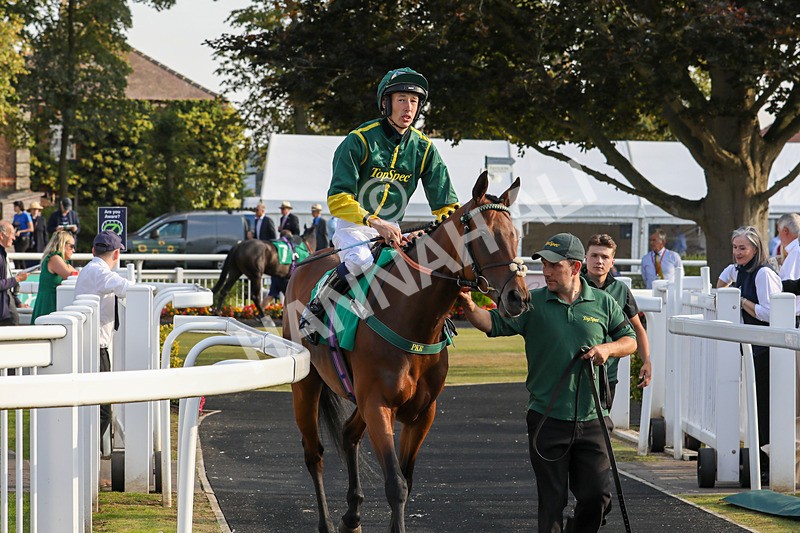 300824-Race 8-Treasure Storm-0689 - Race 8