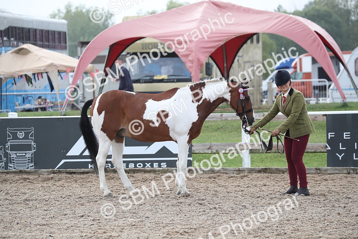 SBM_23102 - Class 605 - 2025 Area - IH Veteran