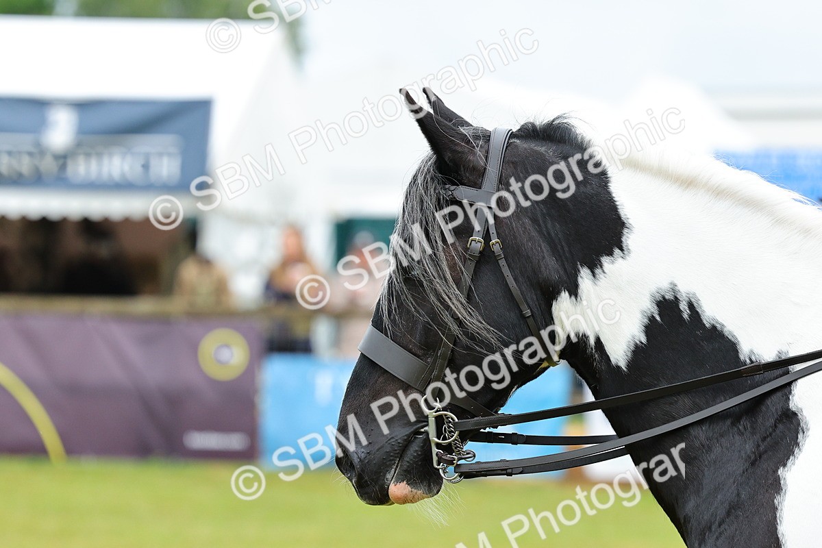 SBM_01226 - Class 1-4 - BSPA Ridden