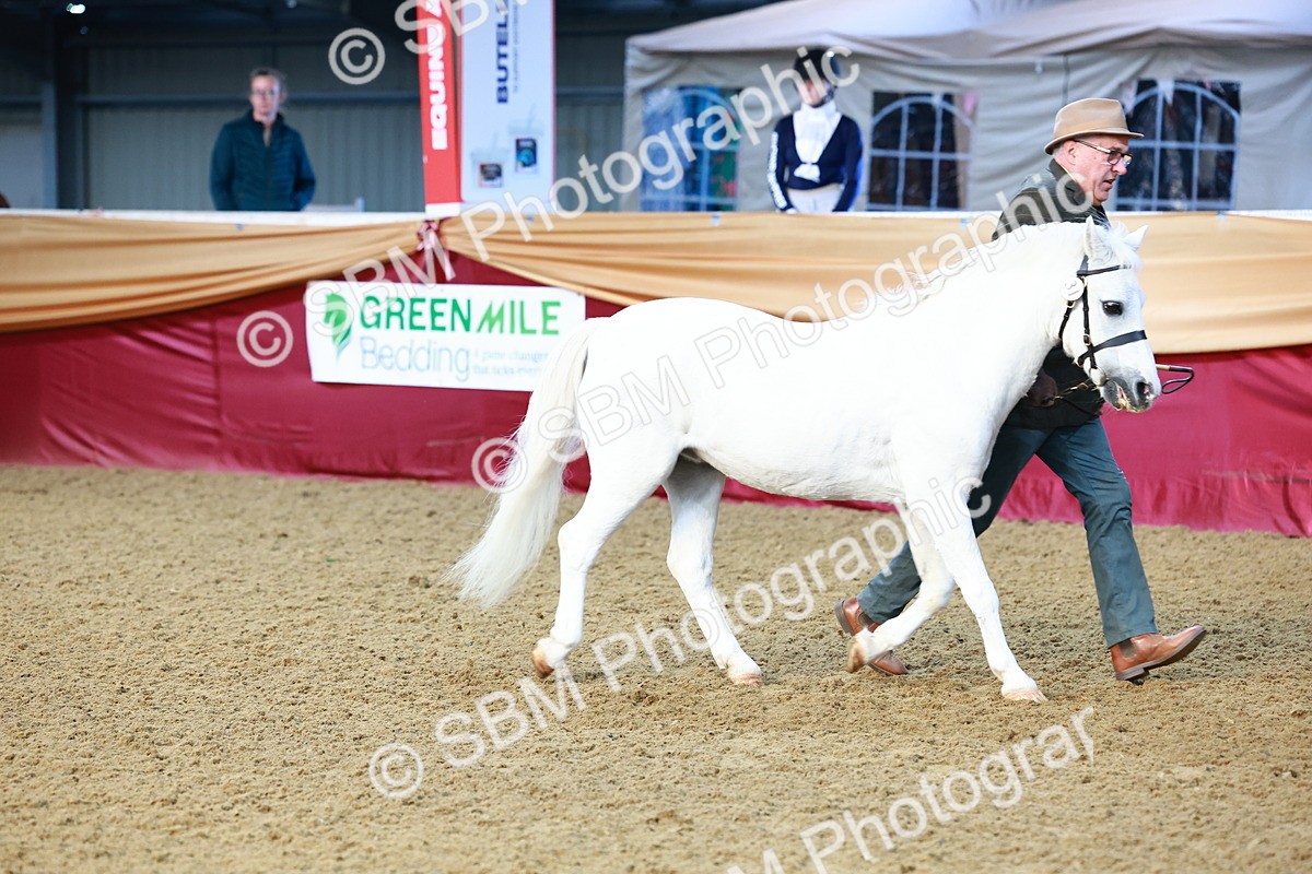 SBM_21742 - Class 901 - Supreme Final - IH  Diamond