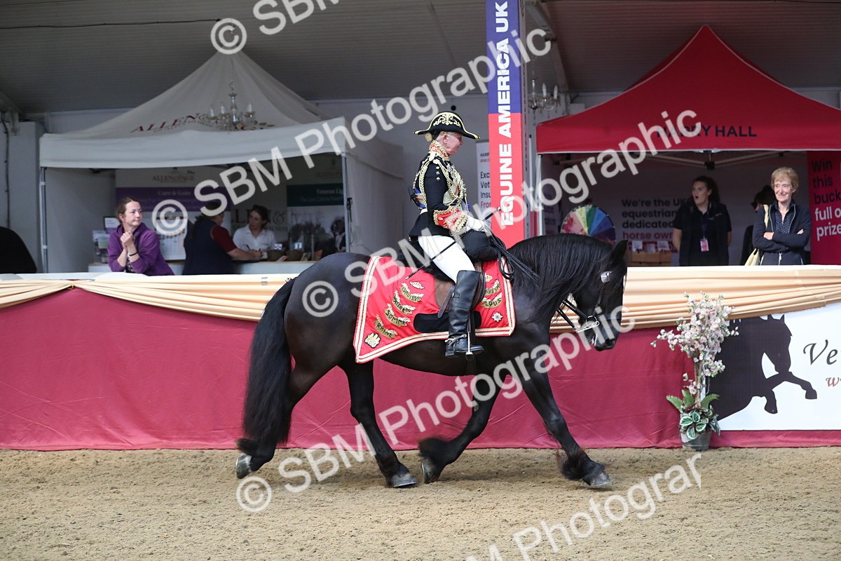 SBM_12087 - Class 106 Ridden Costume- Astride Adult (15-19)