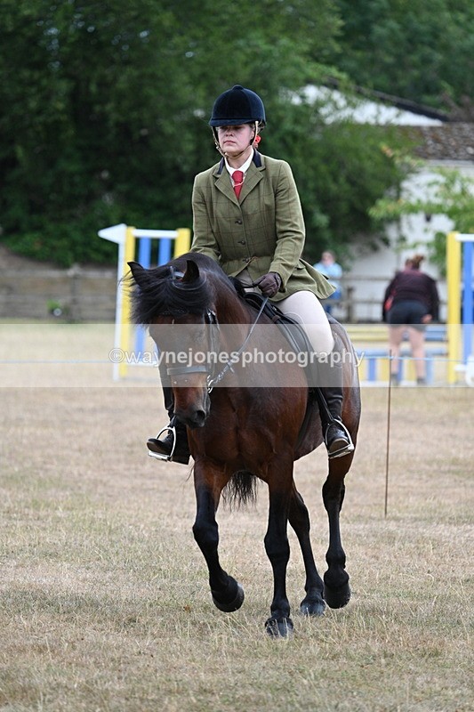 WJ7_0621 - Class 6 Ridden Mountain and Moorland