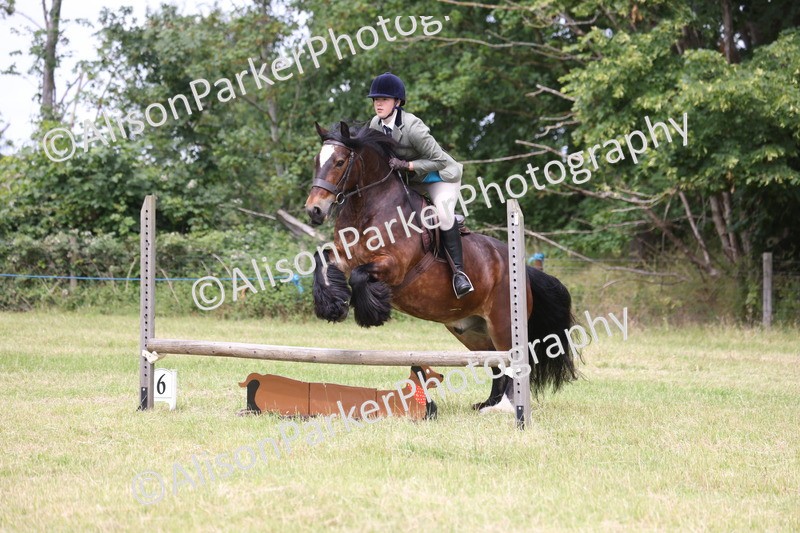 20260614-2926 - Class 22 - Open Working Hunter