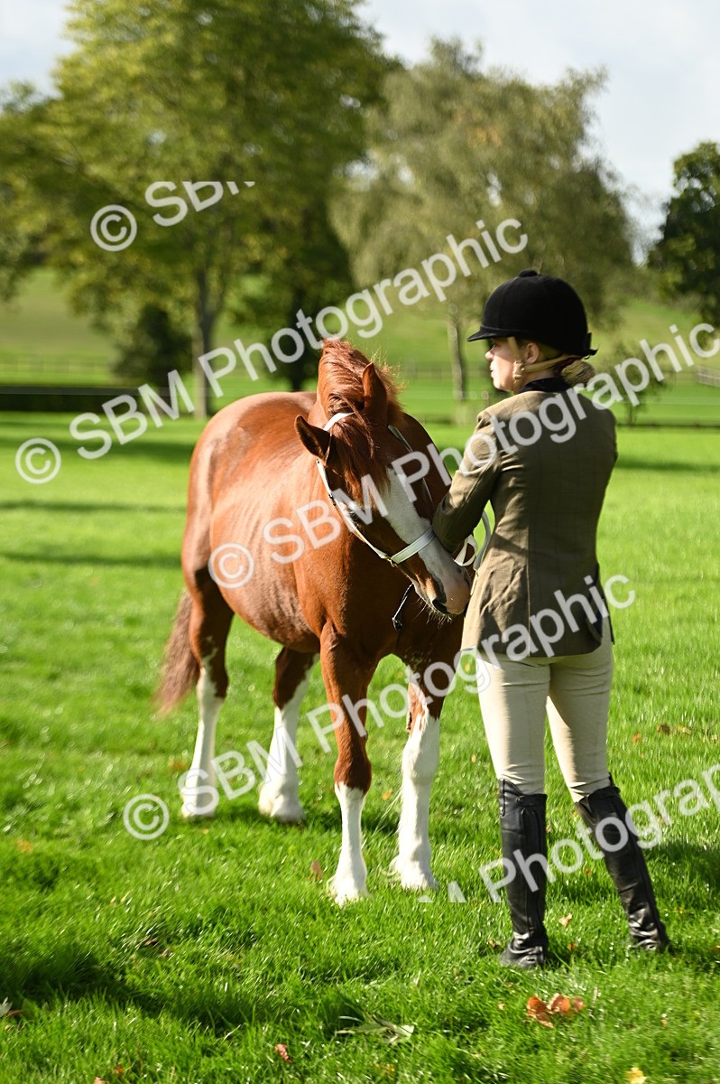 SBM_15943 - S1 - TSR in Hand Horse & Pony Showing