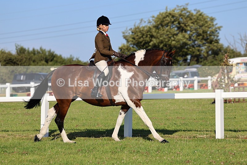 IMG_1216 - Class 27: Ridden Plaited Coloured Horse