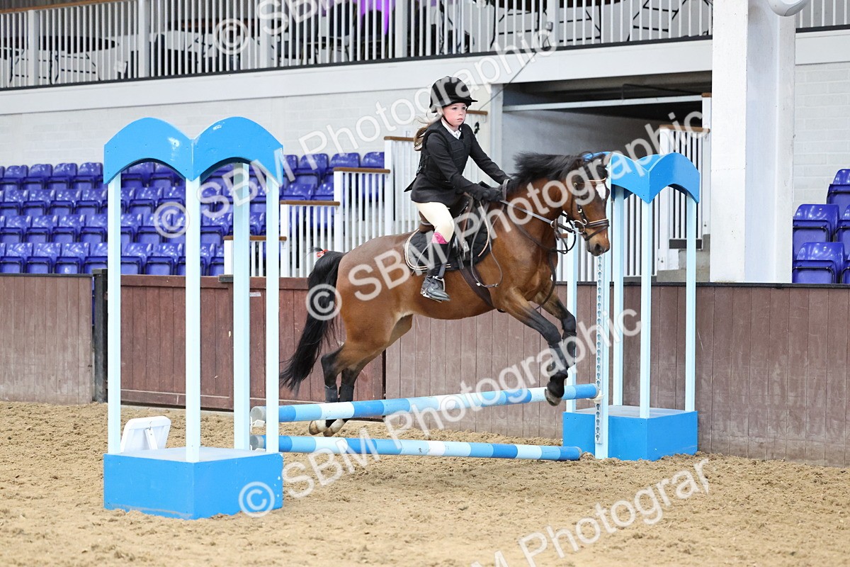 SBM_007756 - Class 3 - 60cm showjumping