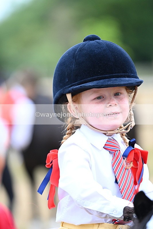 WJ7_8475 - Class 4 Prettiest Mare up to 14.2hh