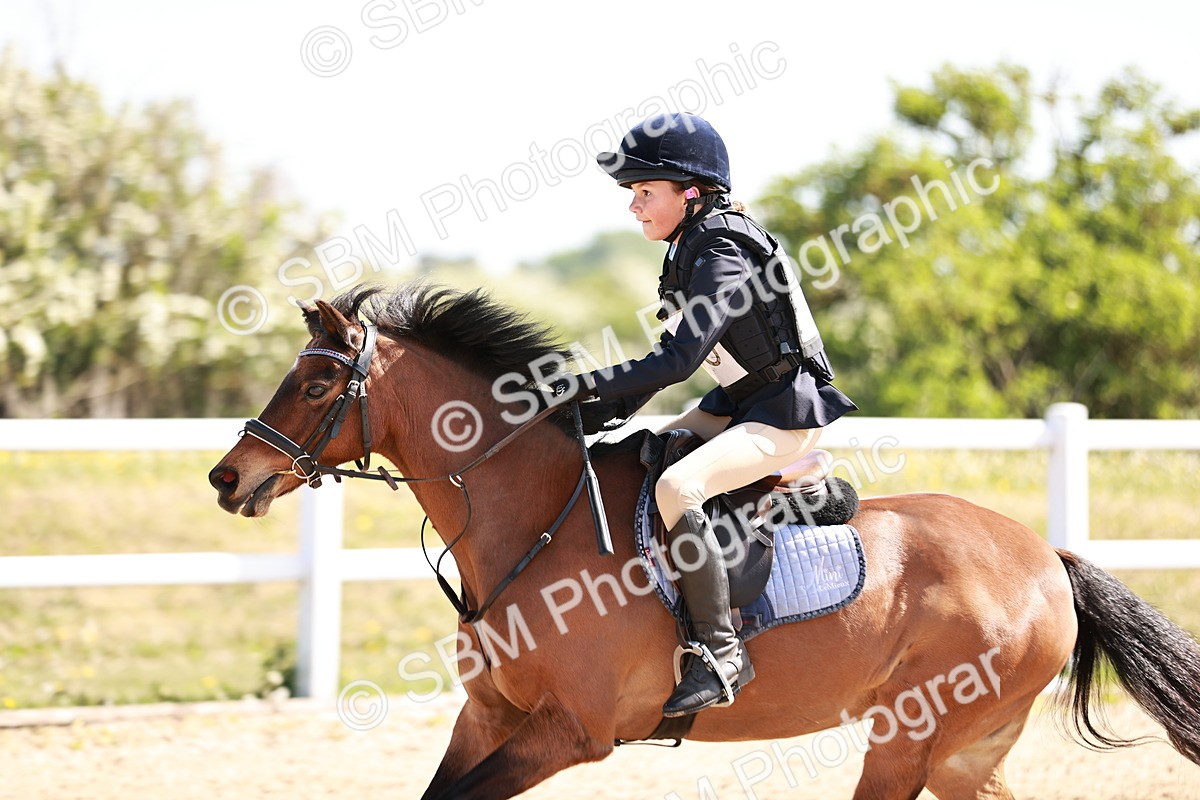 SBM_006823 - Class 2 - 50cm