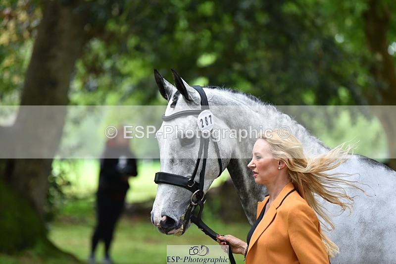 240522-172712-01618 - 287-HEY_DIXIE-Sammy_Harfield