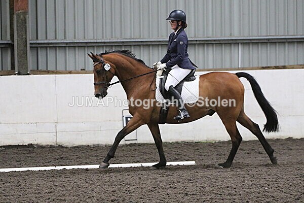SIAL5590 - CAbin Dressage 5th july 2025