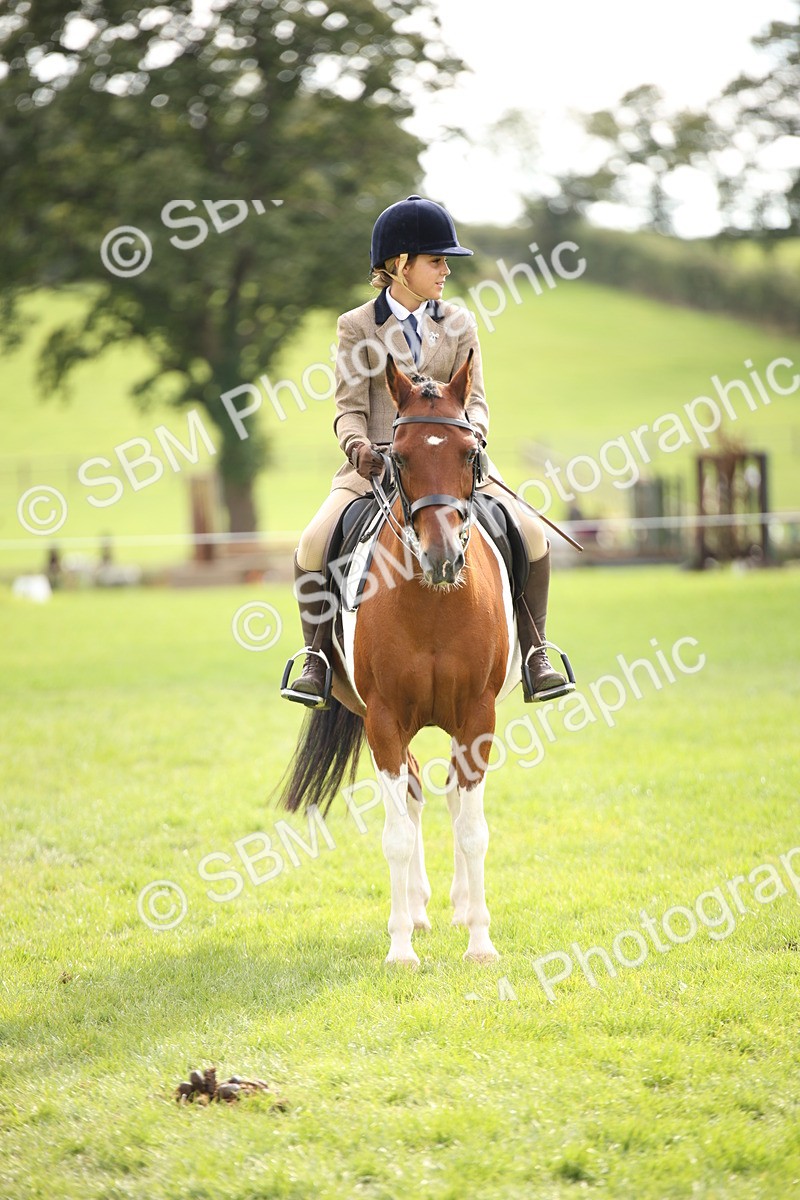 SBM_50034 - S26 - Young Veteran - Ridden