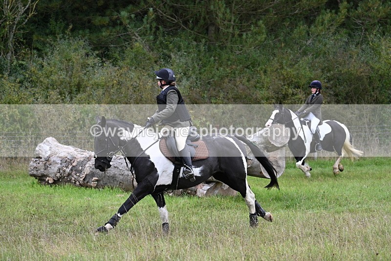 WJ7_3777 - Camera 1 Line 1