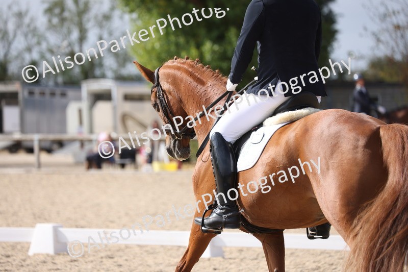 20250820-1503 - Class 20 - Medium 4