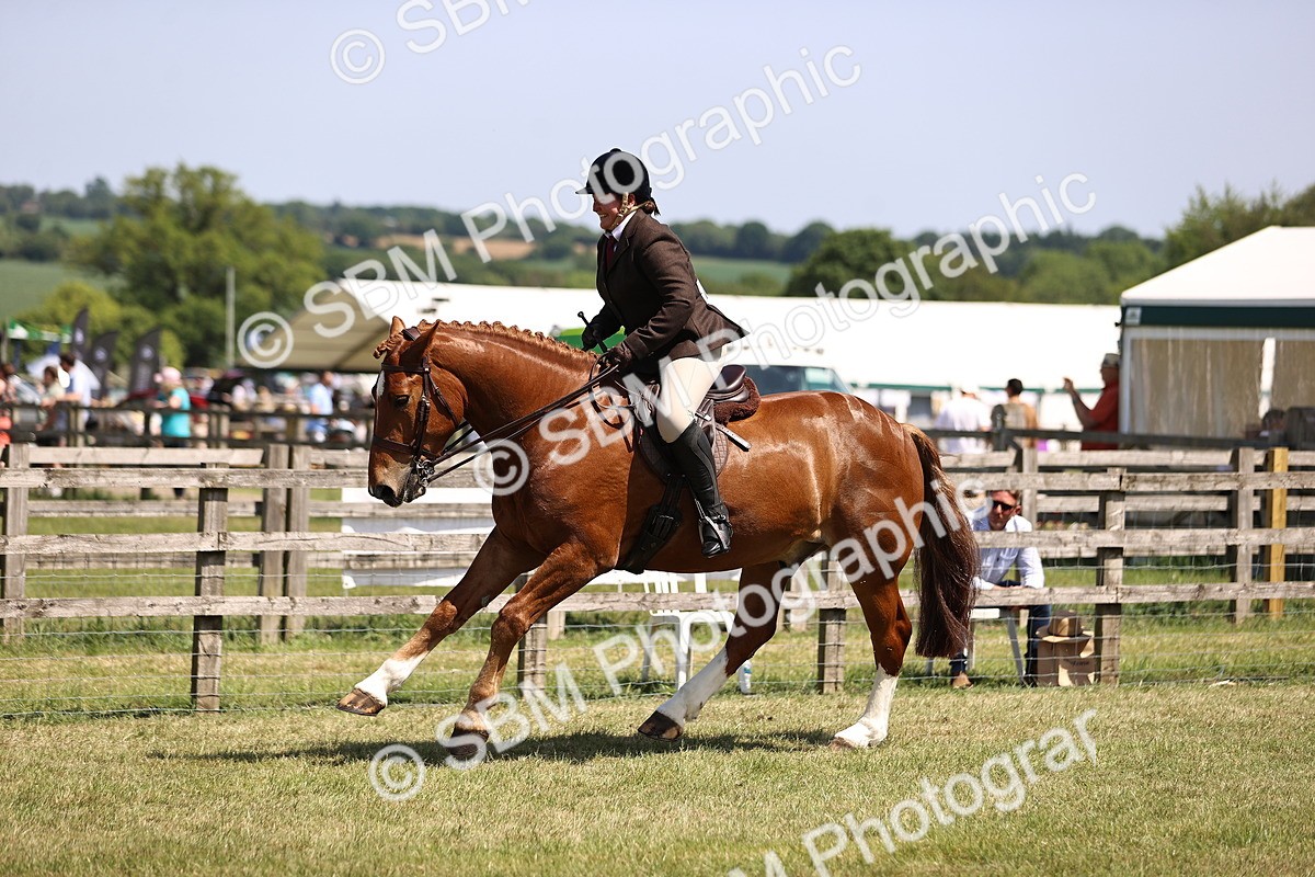 SBM_17739 - Class 81-83 - TSR Ridden Amateur of the Year - Horses