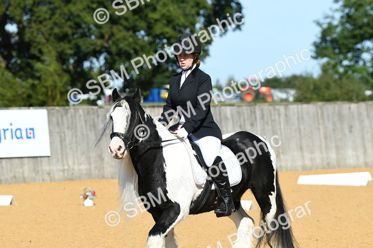 SBM_18064 - D4 - Small Tour Championship - Intro B