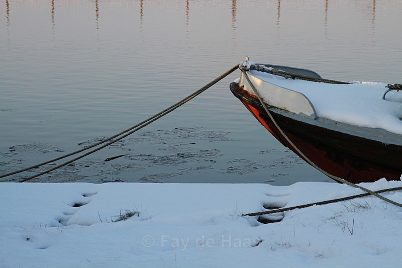  - Home in the Polder