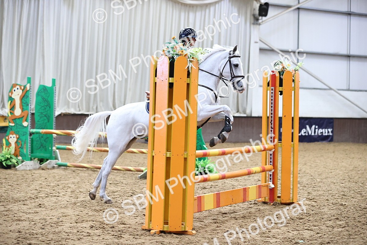 SBM_003694 - Class 12 - Pony Discovery 90cm